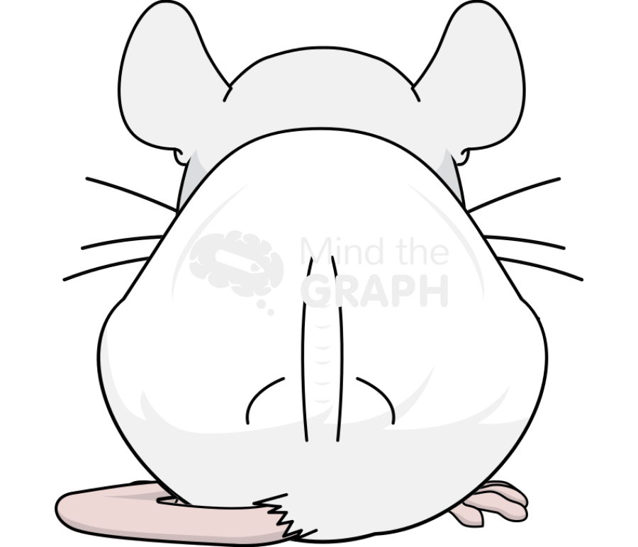 Mouse body condition score under conditioned back Icons, Symbols, Pictures, and Images