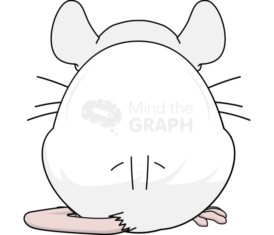 Mouse body condition score well conditioned back Icons, Symbols, Pictures, and Images