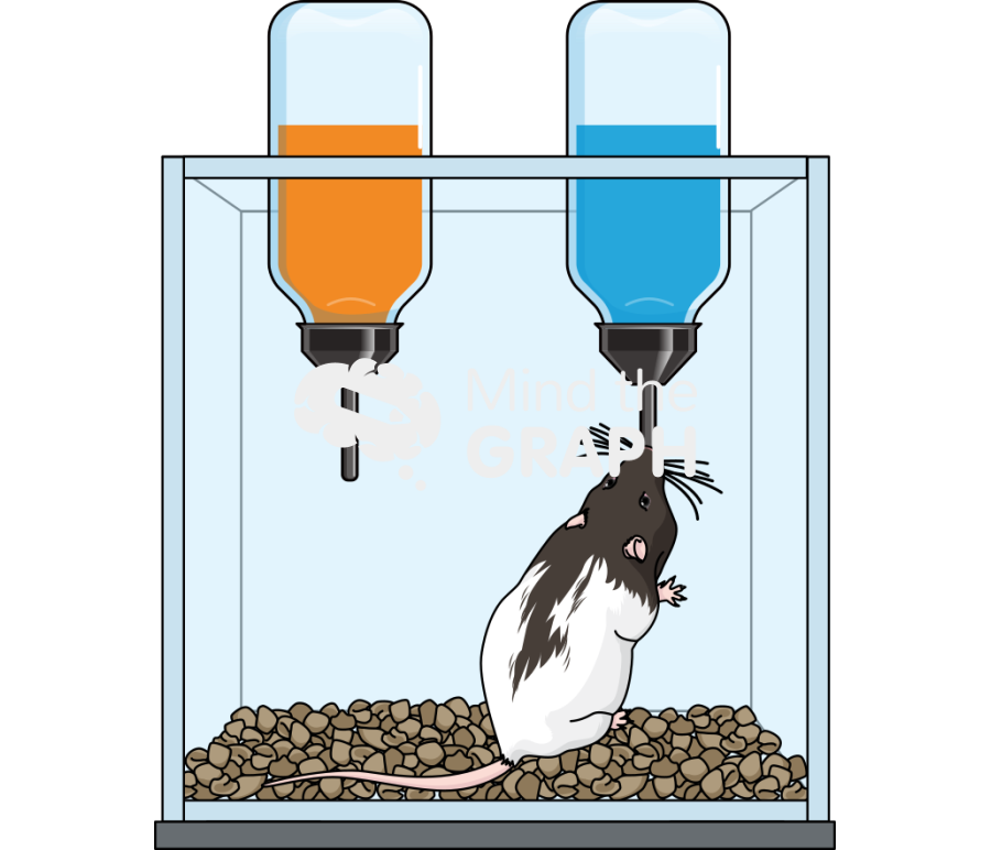 Mouse bottle choice box 3 Icons, Symbols, Pictures, and Images