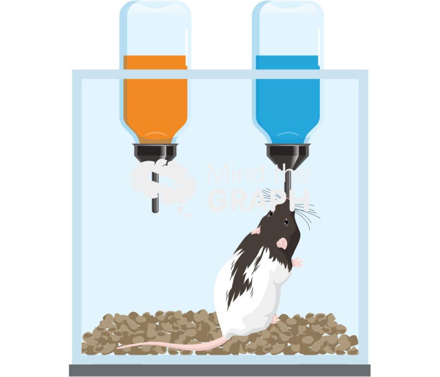 Mouse bottle choice box 3 Icons, Symbols, Pictures, and Images