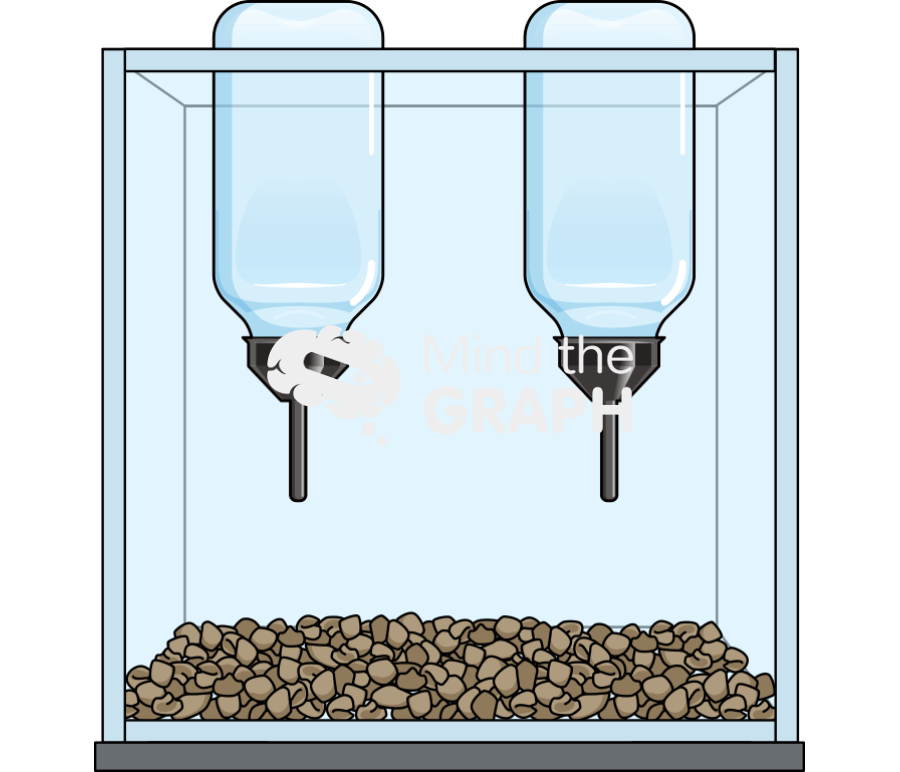 Mouse bottle choice box empty Icons, Symbols, Pictures, and Images