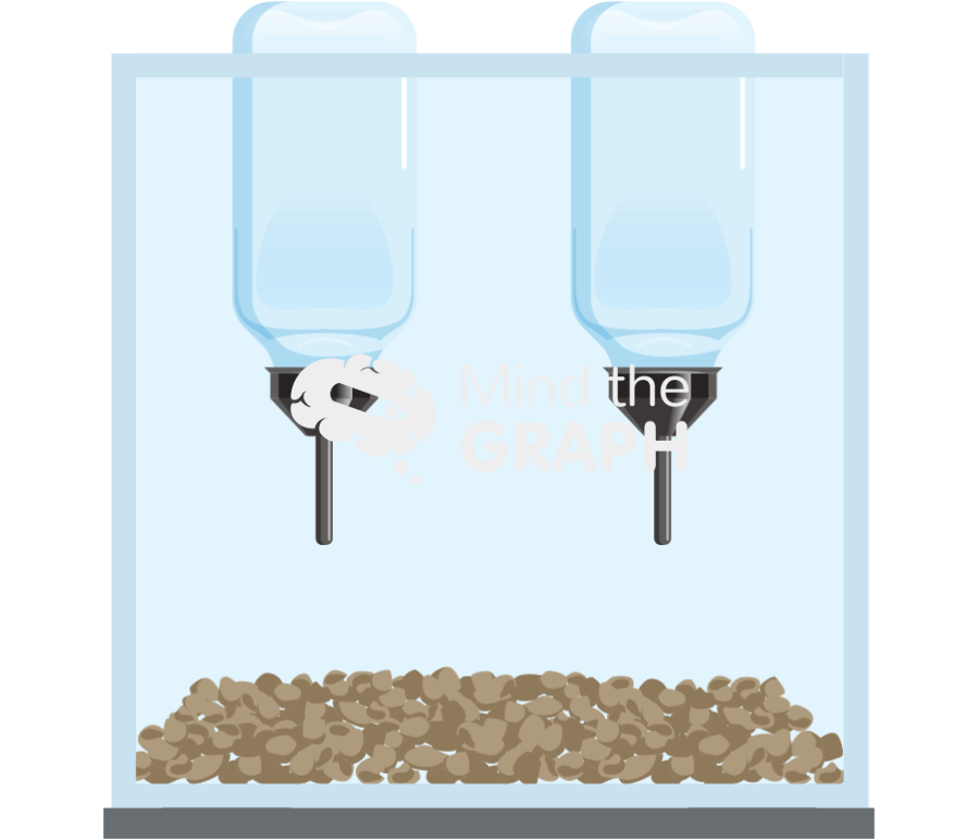 Mouse bottle choice box empty Icons, Symbols, Pictures, and Images