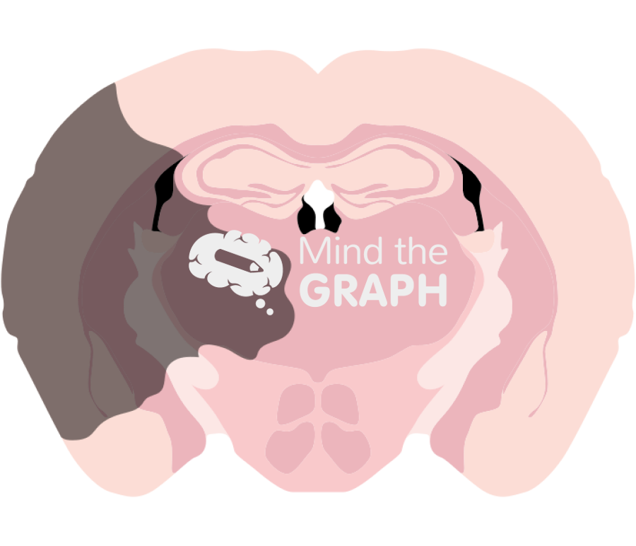 Mouse brain acute cerebral ischemia front cut Icons, Symbols, Pictures, and Images