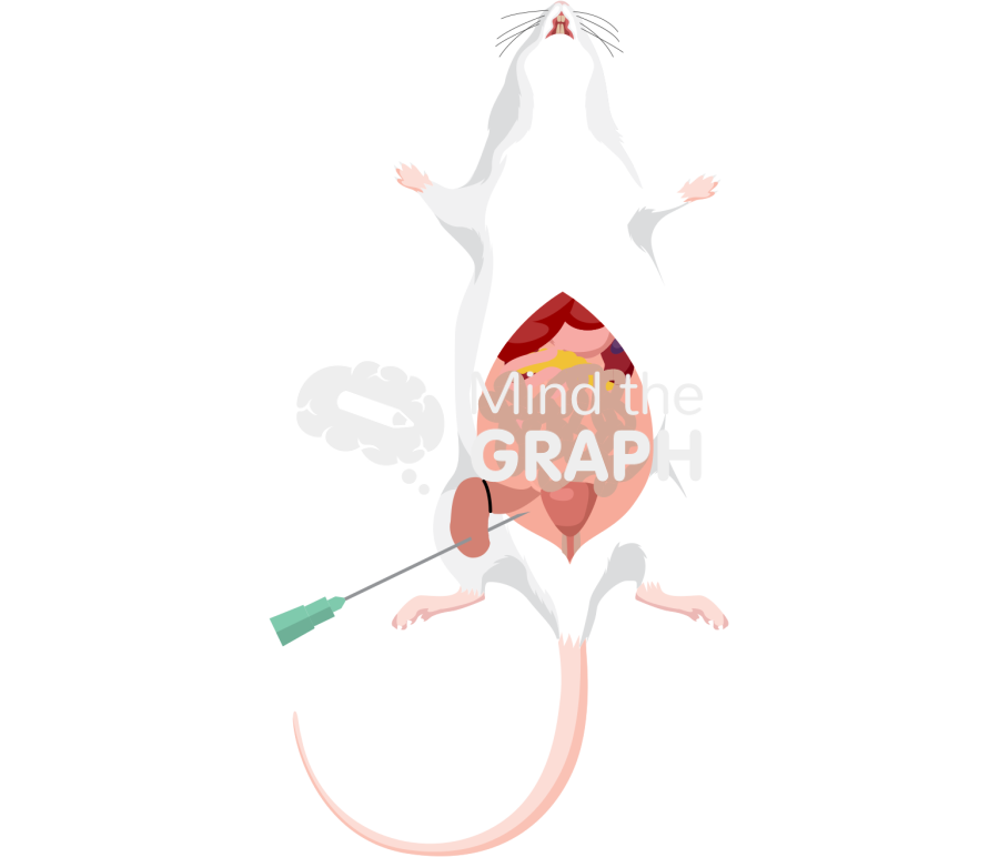 Mouse cecal ligation puncture Icons, Symbols, Pictures, and Images