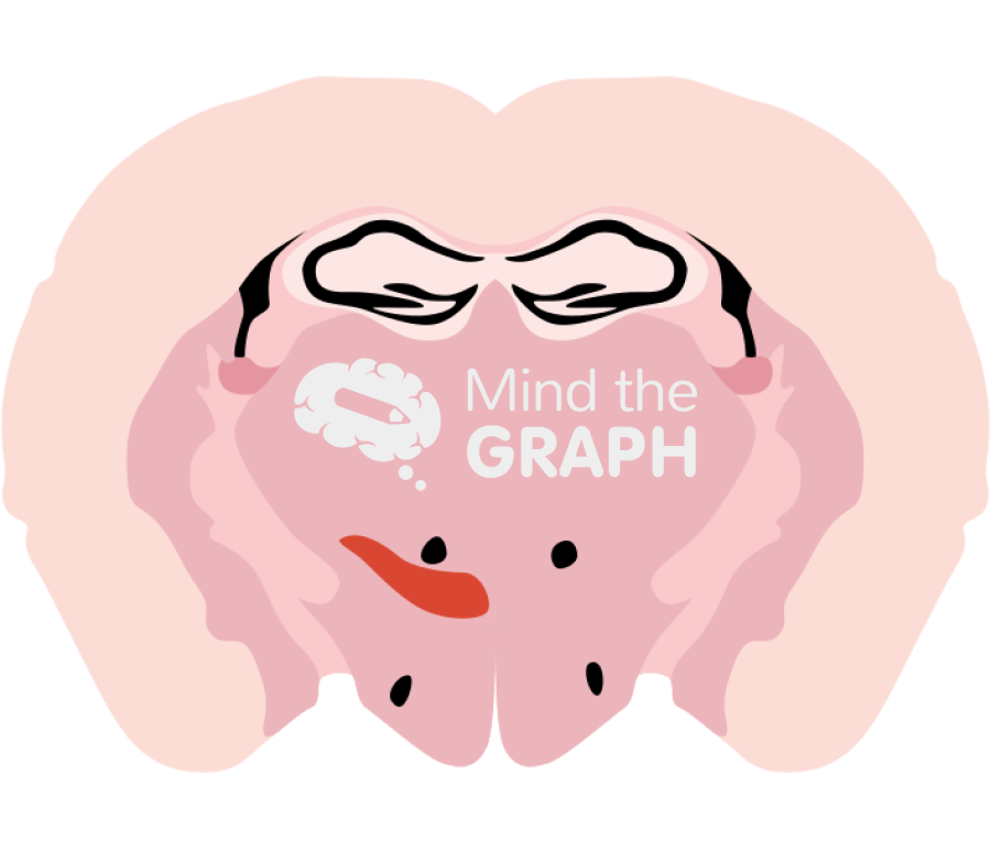 Mouse coronal brain section zona incerta Icons, Symbols, Pictures, and Images