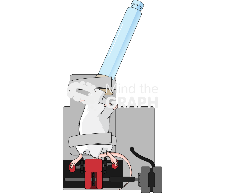 Mouse cycle ergometer Icons, Symbols, Pictures, and Images