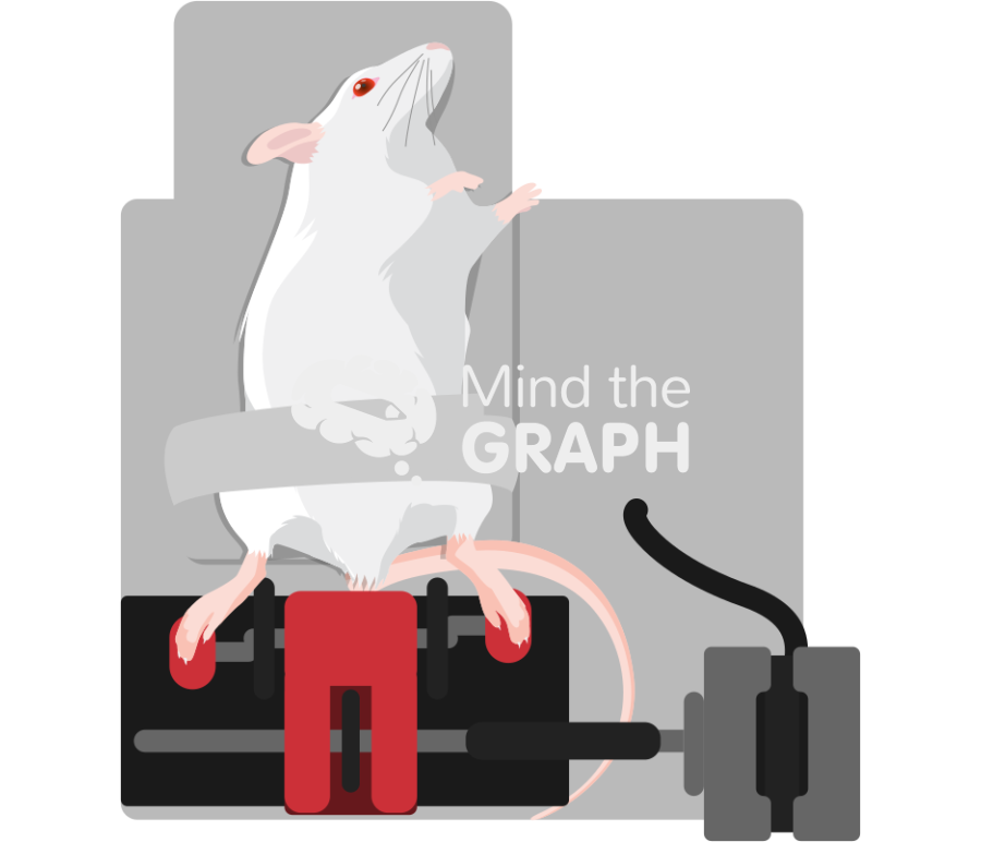 Mouse cycle ergometer 2 Icons, Symbols, Pictures, and Images