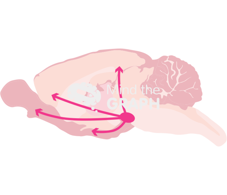 Mouse dopaminergic pathway Icons, Symbols, Pictures, and Images