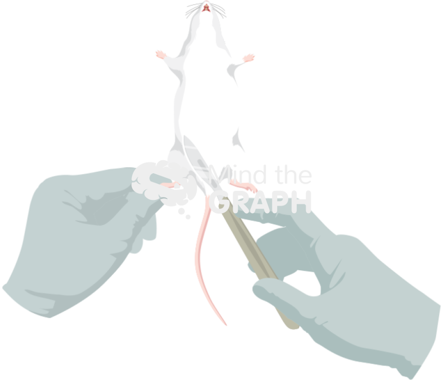 Mouse extract anatomic inferior hand scarpel Icons, Symbols, Pictures, and Images