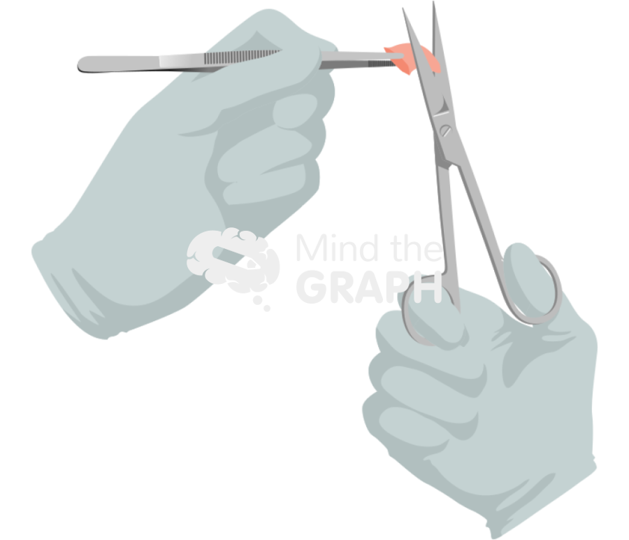 Mouse extract femur scissor hand Icons, Symbols, Pictures, and Images