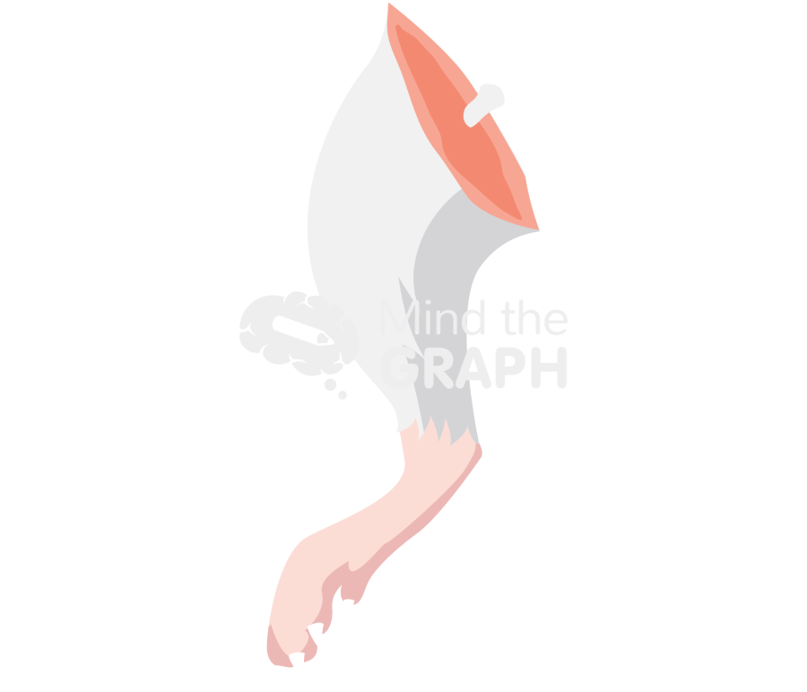 Mouse extract leg paw Icons, Symbols, Pictures, and Images