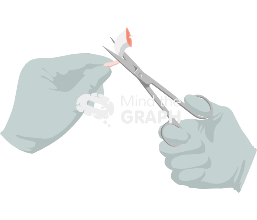 Mouse extract paw femur scissor hand Icons, Symbols, Pictures, and Images