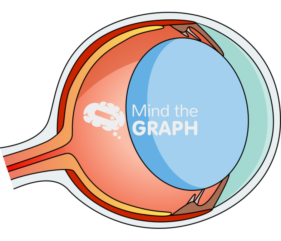 Mouse eye lateral cut Icons, Symbols, Pictures, and Images