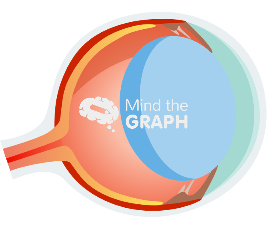 Mouse eye lateral cut Icons, Symbols, Pictures, and Images