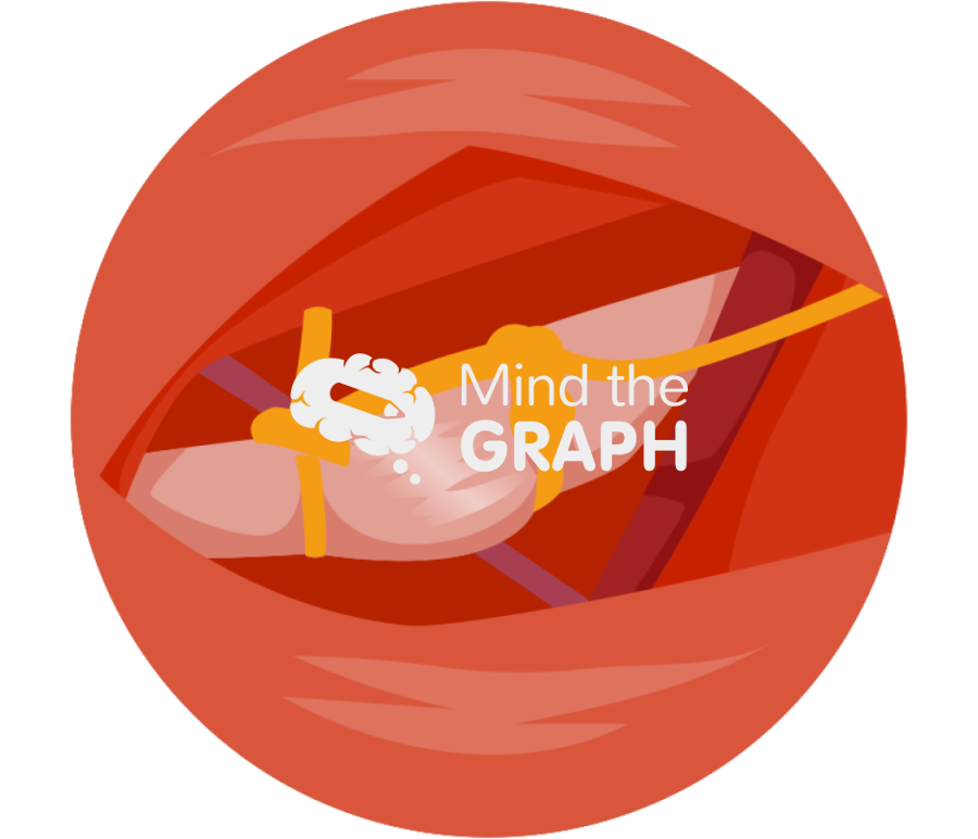 Mouse ion nervous surgery 2 zoom Icons, Symbols, Pictures, and Images