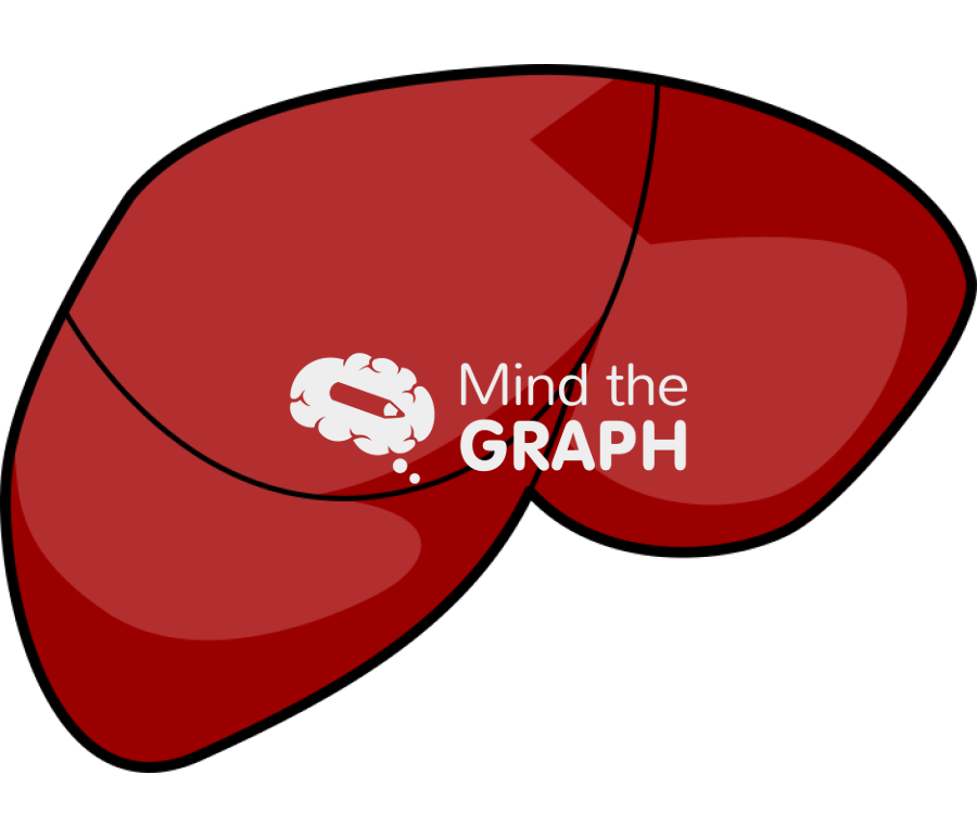 Mouse liver Icons, Symbols, Pictures, and Images