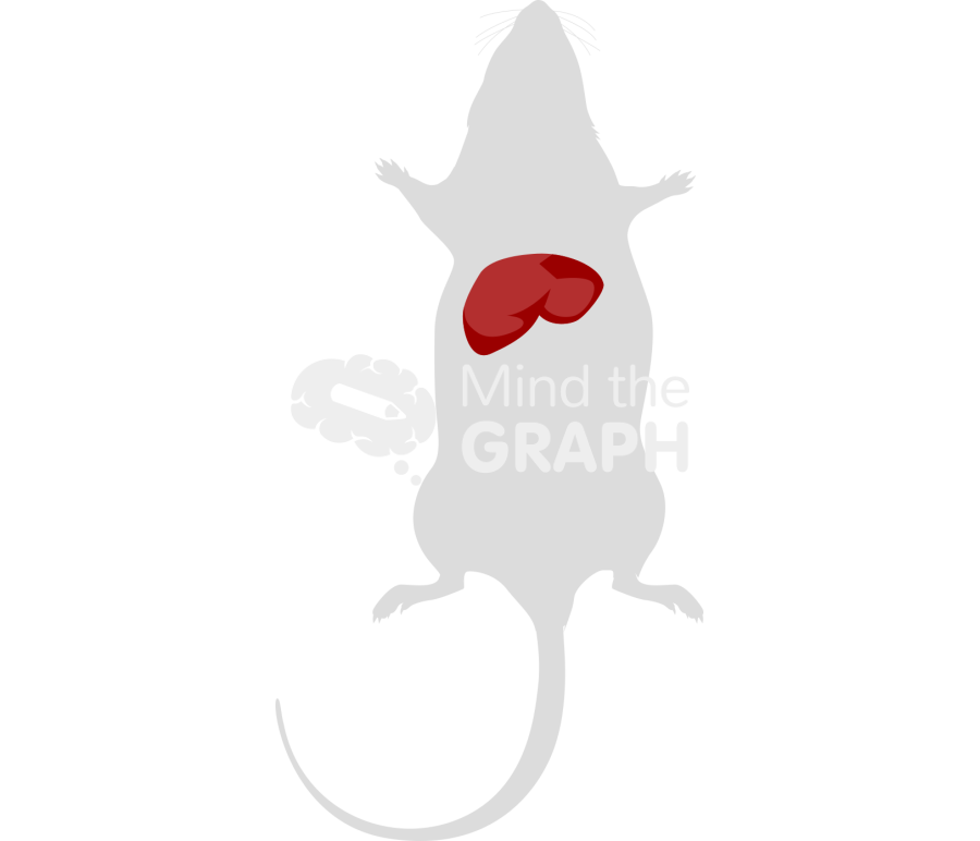 Mouse liver body Icons, Symbols, Pictures, and Images