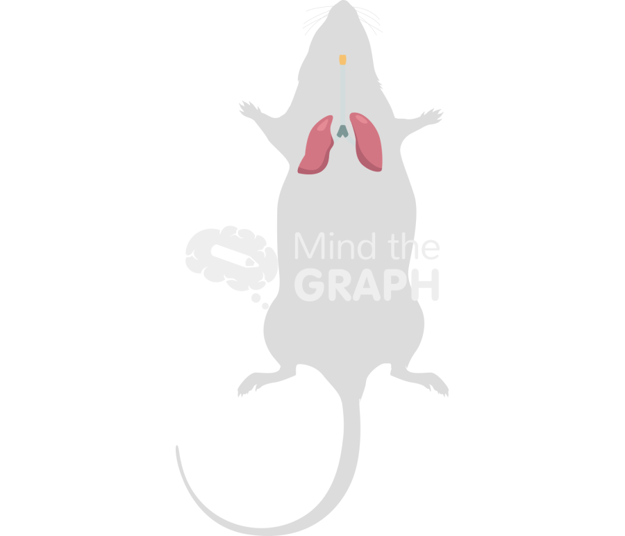 Mouse respiratory system body Icons, Symbols, Pictures, and Images