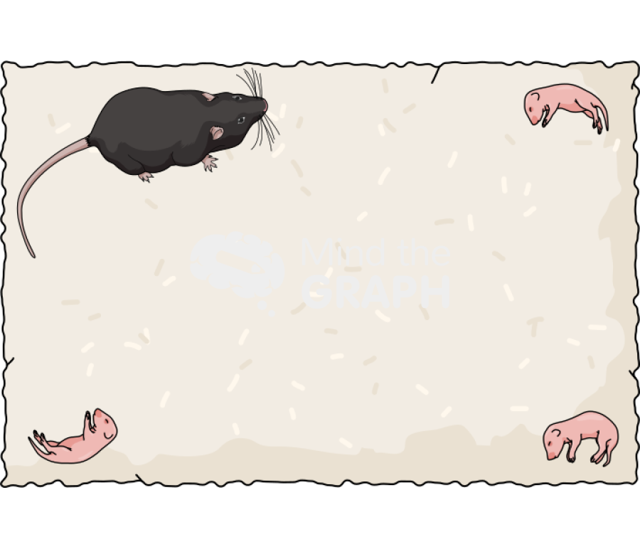 Mouse test area rat newborn 1 Icons, Symbols, Pictures, and Images