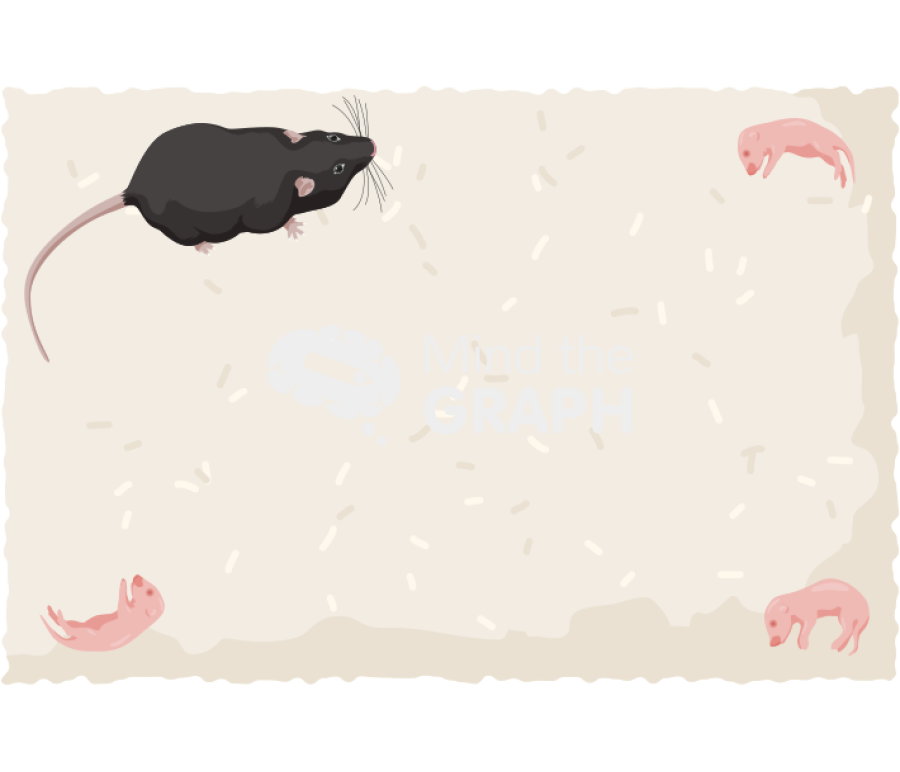 Mouse test area rat newborn 1 Icons, Symbols, Pictures, and Images