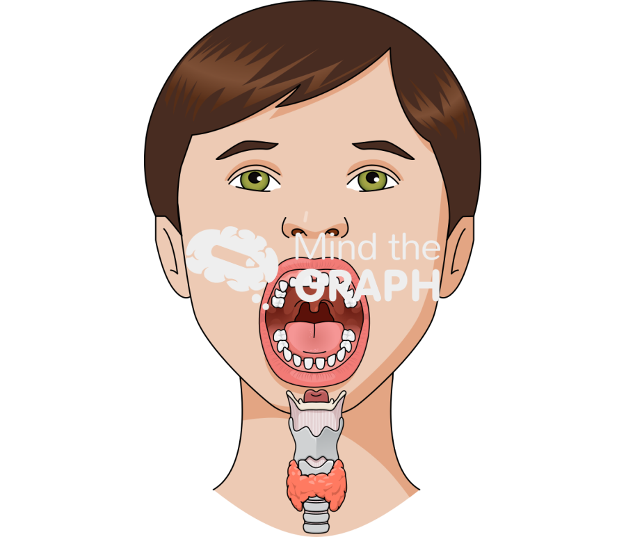 Mouth child boy front body full Icons, Symbols, Pictures, and Images
