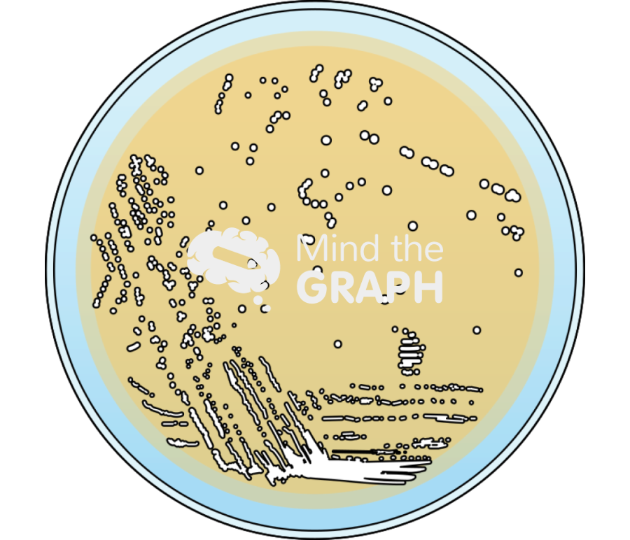 Mrs agar cultivation petri dish Icons, Symbols, Pictures, and Images