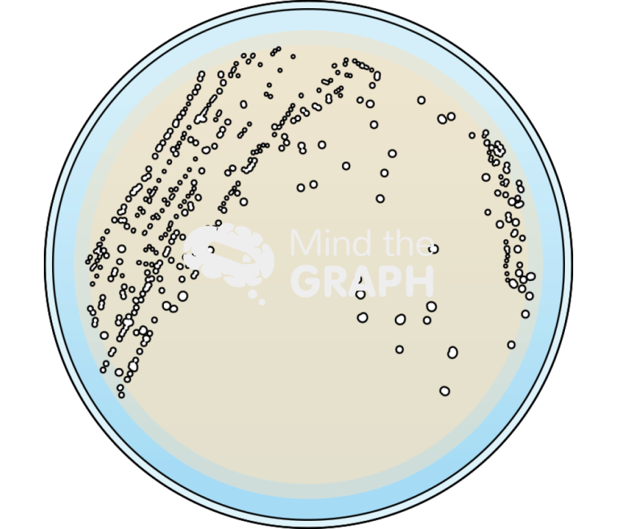 Mrs broth cultivation petri dish Icons, Symbols, Pictures, and Images