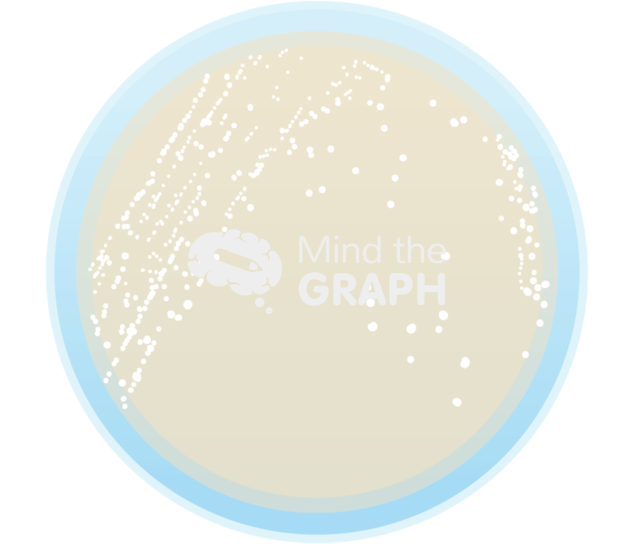 Mrs broth cultivation petri dish Icons, Symbols, Pictures, and Images