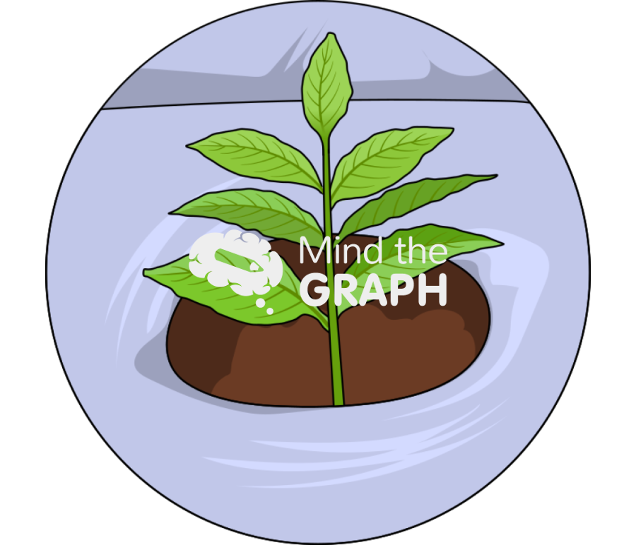 Mulch film plant zoom Icons, Symbols, Pictures, and Images