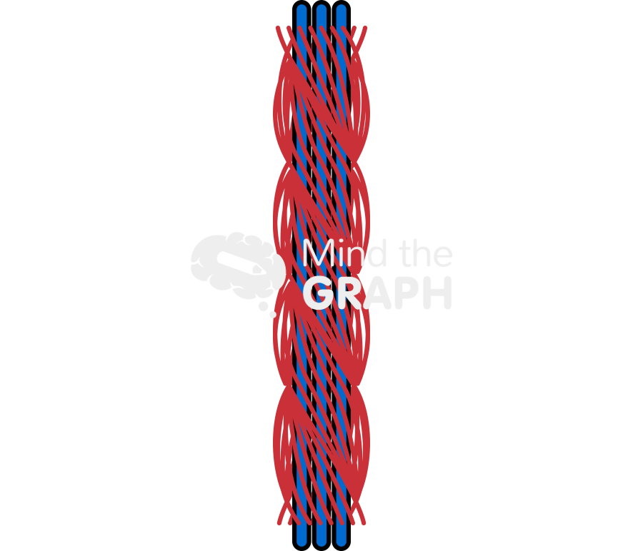 Multi yarn Icons, Symbols, Pictures, and Images