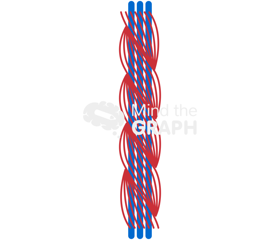 Multi yarn Icons, Symbols, Pictures, and Images