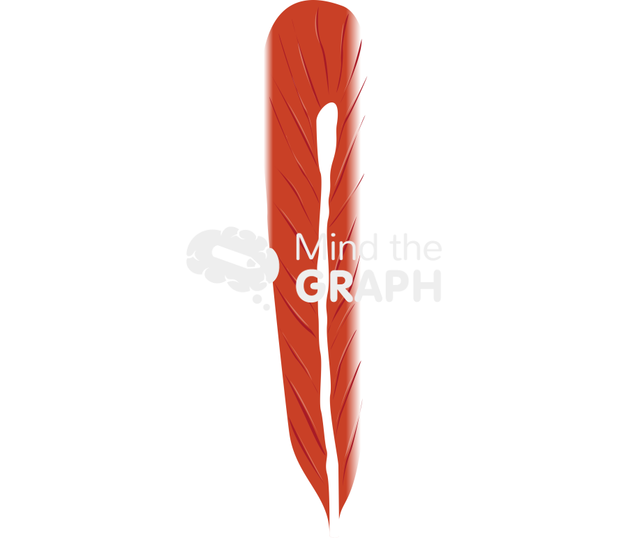 Muscle 5 Icons, Symbols, Pictures, and Images