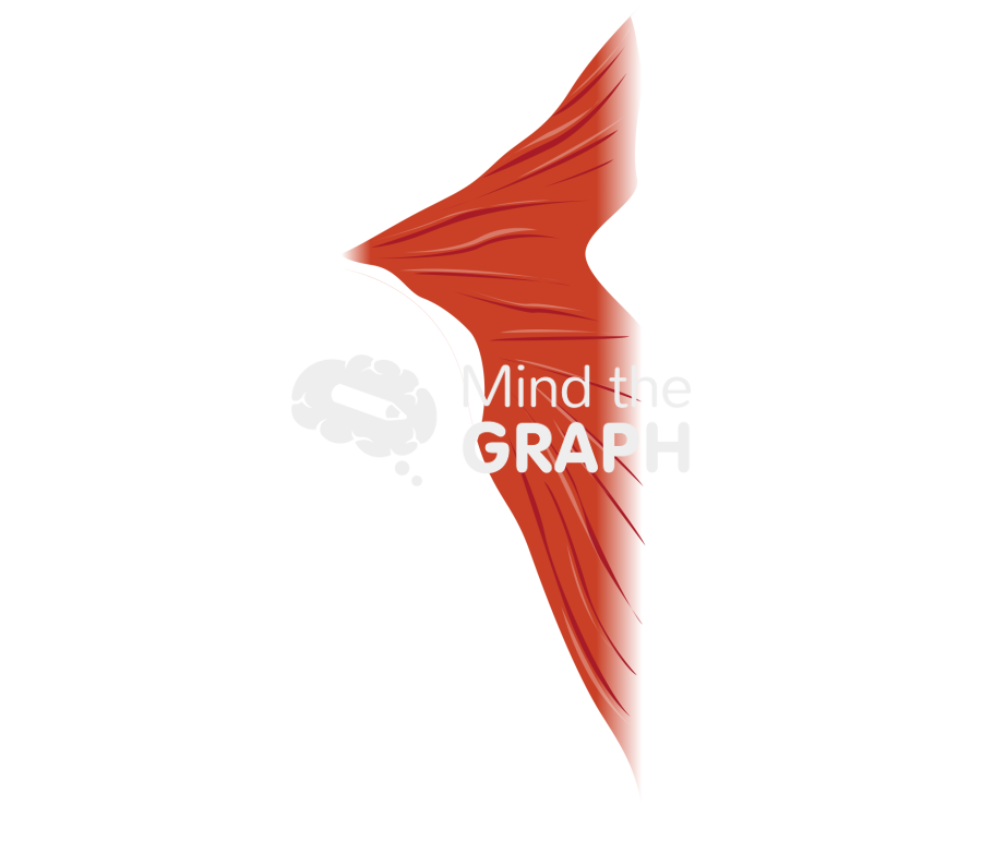 Muscle 6 Icons, Symbols, Pictures, and Images