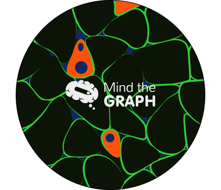 Muscle developmental myosin immunofluorescence zoom Icons, Symbols, Pictures, and Images