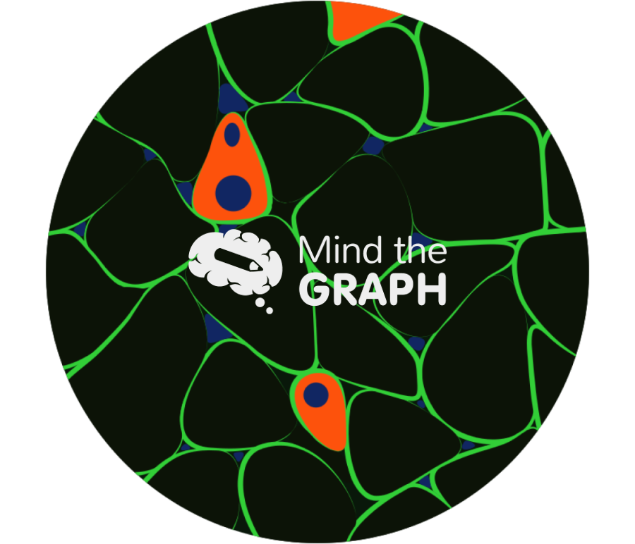 Muscle developmental myosin immunofluorescence zoom Icons, Symbols, Pictures, and Images