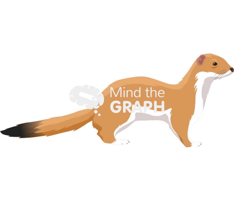 Mustela ferret Icons, Symbols, Pictures, and Images