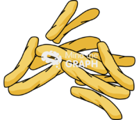 Mycobacterium tuberculosis 2 - Edit and Customize Icons of Mycobacterium tuberculosis 2 Mycobacterium tuberculosis 2 Icons, Symbols, Pictures, and Images