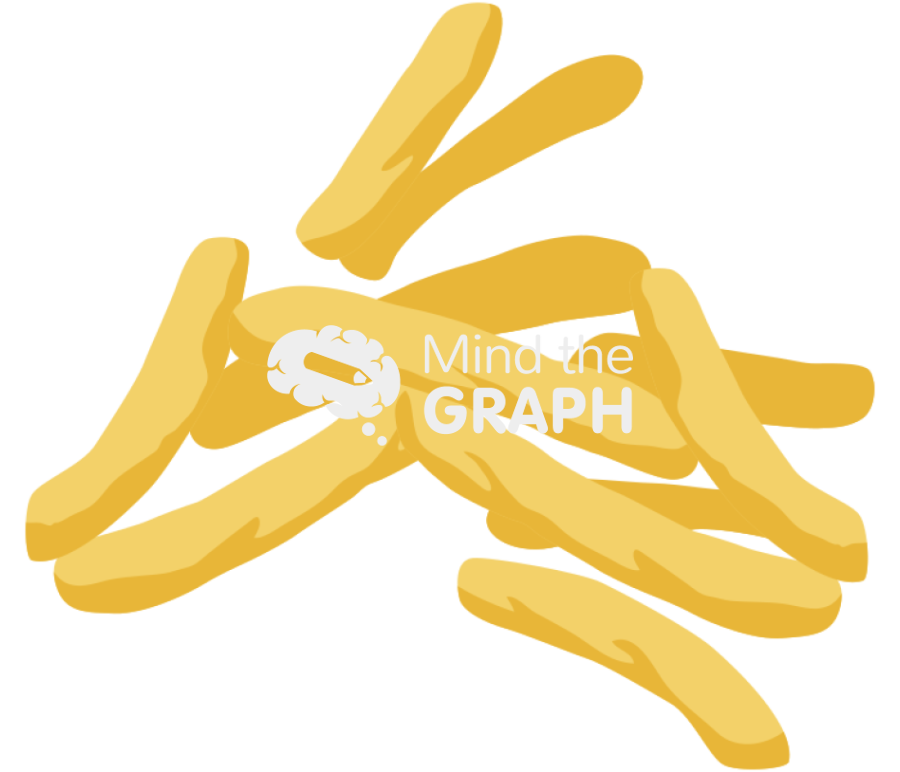 Mycobacterium tuberculosis 2 Icons, Symbols, Pictures, and Images