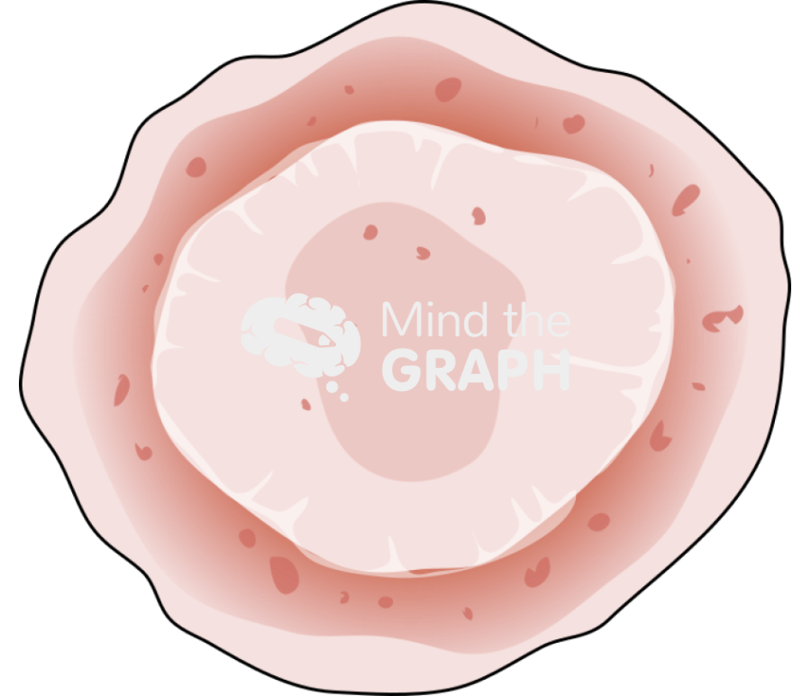 Mycosis skin Icons, Symbols, Pictures, and Images