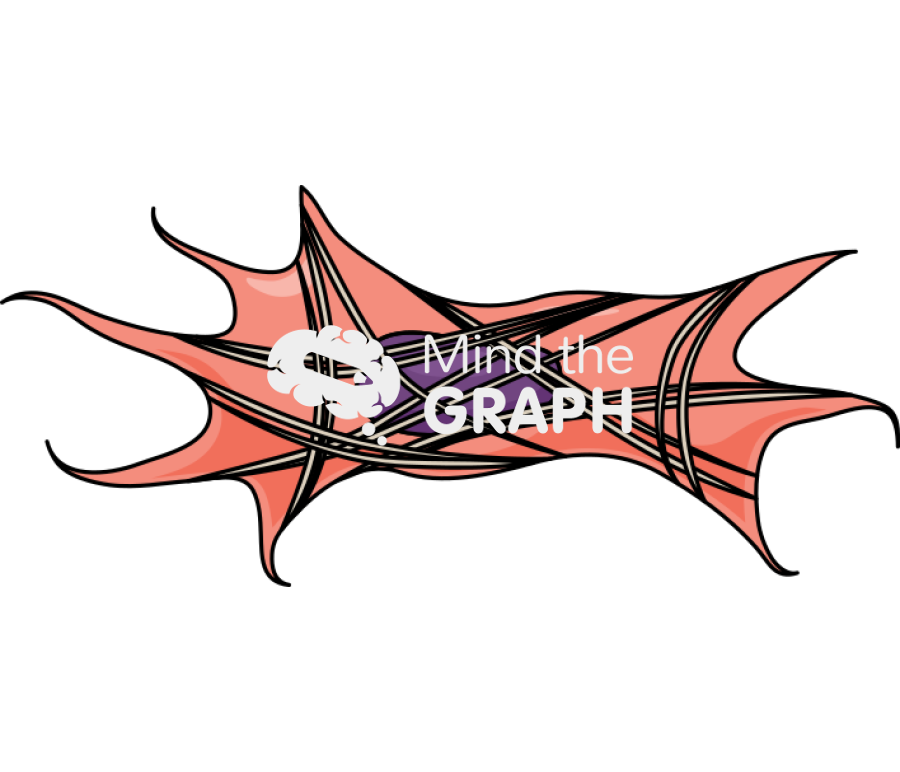 Myofibroblast cell Icons, Symbols, Pictures, and Images