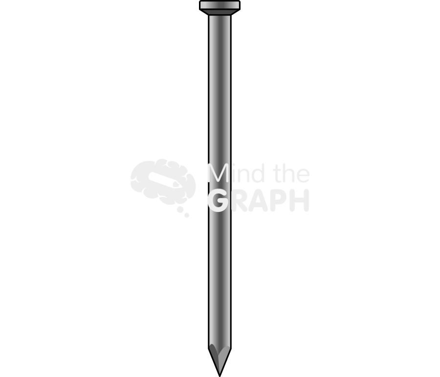 Nail front Icons, Symbols, Pictures, and Images