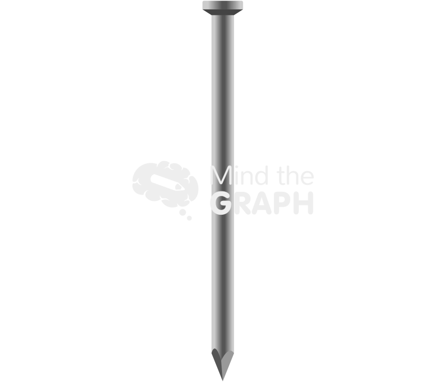 Nail front Icons, Symbols, Pictures, and Images