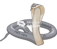 Naja snake 1 - Edit and Customize Icons of Naja snake 1 Naja snake 1 Icons, Symbols, Pictures, and Images