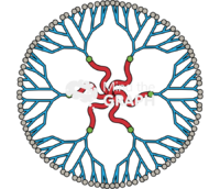 Nanomicelle nanoparticle - Edit and Customize Icons of Nanomicelle nanoparticle Nanomicelle nanoparticle Icons, Symbols, Pictures, and Images