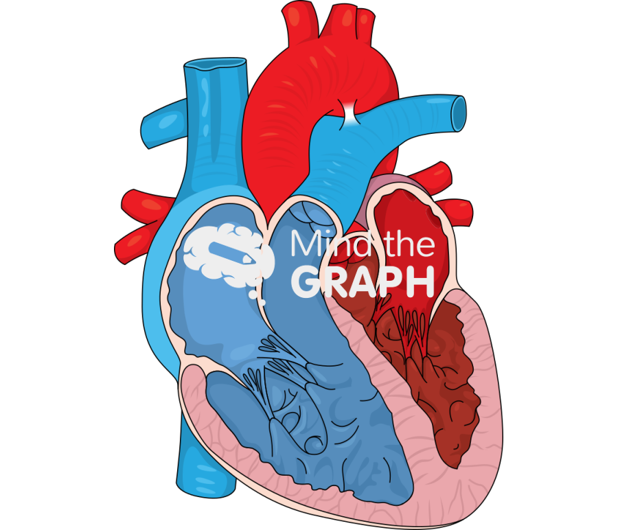 Neonatal ventricular disproportion type a Icons, Symbols, Pictures, and Images