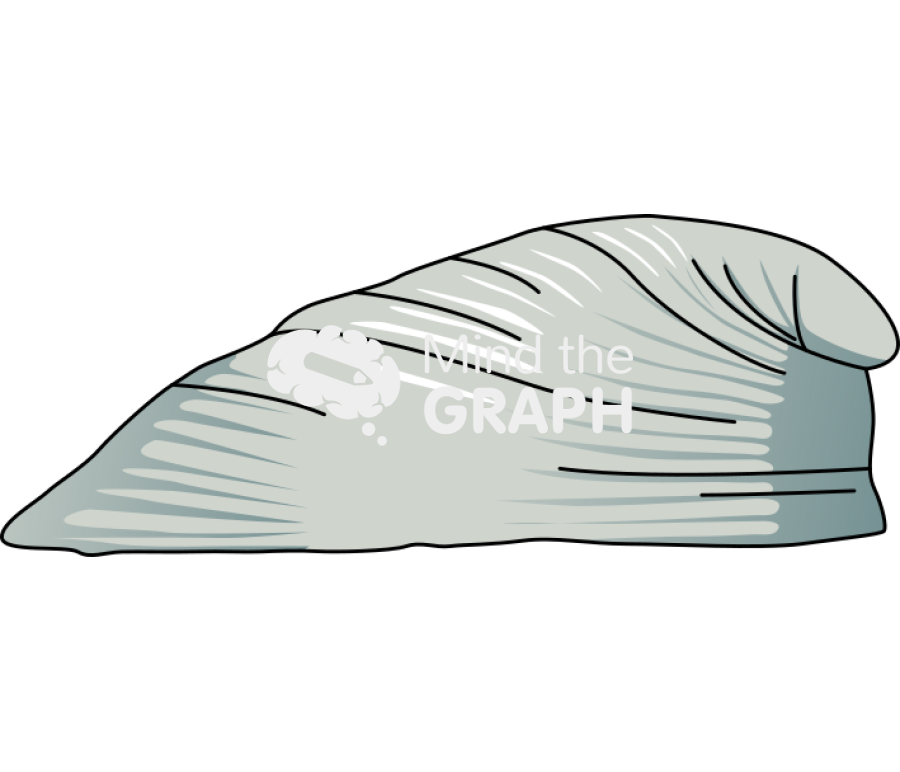 Neopilina lateral 1 Icons, Symbols, Pictures, and Images