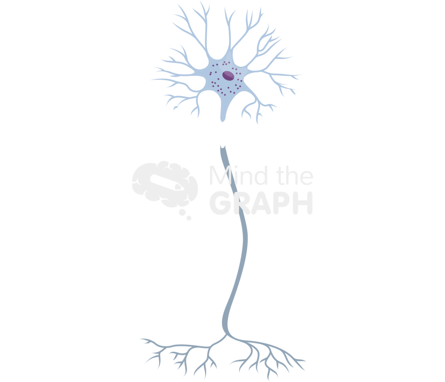 Nerve injury degeneration 2 Icons, Symbols, Pictures, and Images