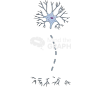 Nerve injury degeneration 3 Icons, Symbols, Pictures, and Images