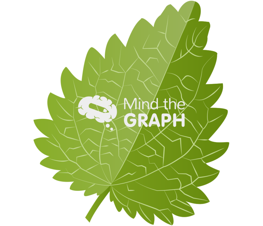 Netlike leaf 1 Icons, Symbols, Pictures, and Images