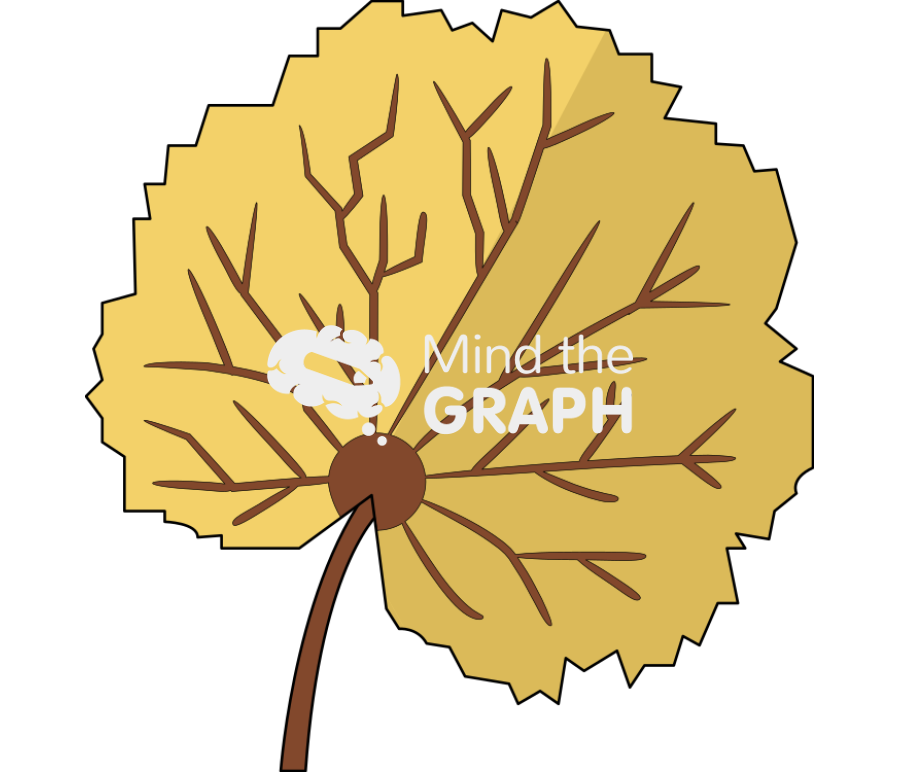 Netlike leaf 2 Icons, Symbols, Pictures, and Images